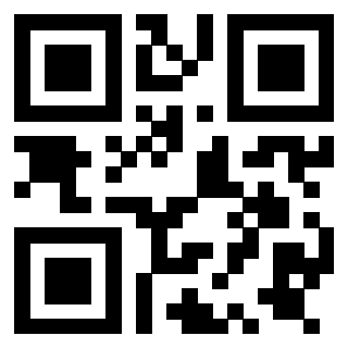 Il Qr Code di 3919757713