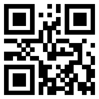 Il Qr Code di 3919757729