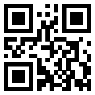 Il Qr Code di 3919757736