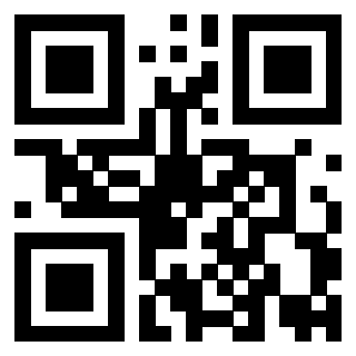 Il Qr Code di 3919757807
