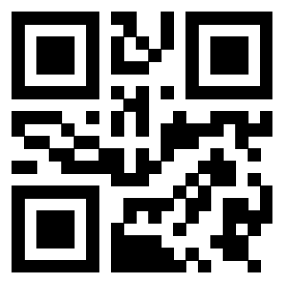 QrCode di 3919757821