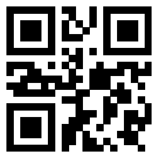 Il Qr Code di 3919757847