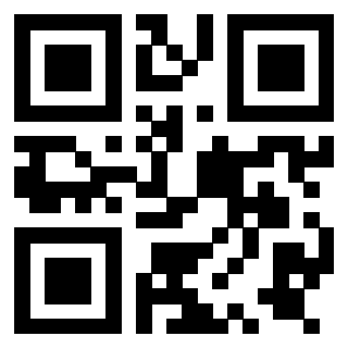 Il Qr Code di 3919757850