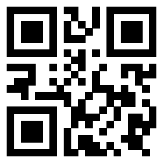 Il Qr Code di 3919757900
