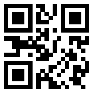 Il Qr Code di 3919757910