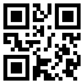 Il Qr Code di 3919757916