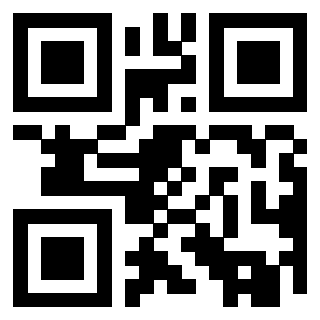 Il Qr Code di 3919757958