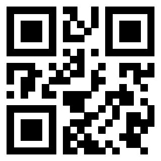 Il Qr Code di 3919757960