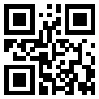 Il Qr Code di 3919758015