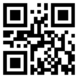 Il Qr Code di 3919758044