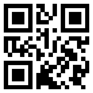 Il Qr Code di 3919758069