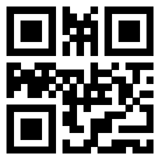 Il Qr Code di 3919758071