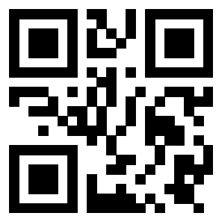 QrCode di 3919758072