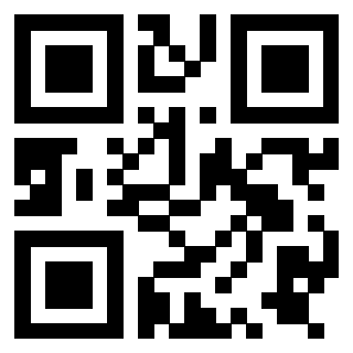Il Qr Code di 3919758110