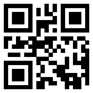 Il Qr Code di 3919758161
