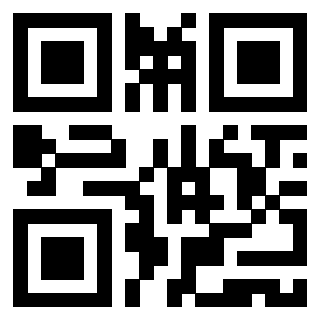 Il Qr Code di 3919758163