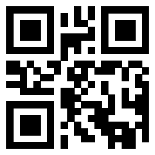Il Qr Code di 3919758203