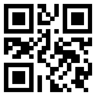 Il Qr Code di 3919758238