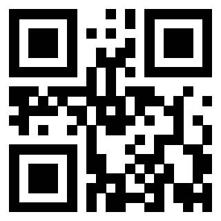 Il Qr Code di 3919758255