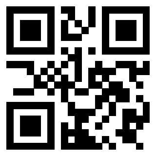 Il Qr Code di 3919758278
