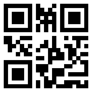 Il Qr Code di 3919758280