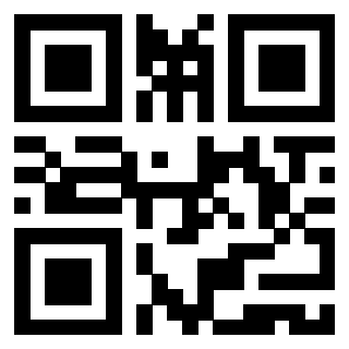 Il Qr Code di 3919758329