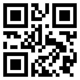 Il Qr Code di 3919758351