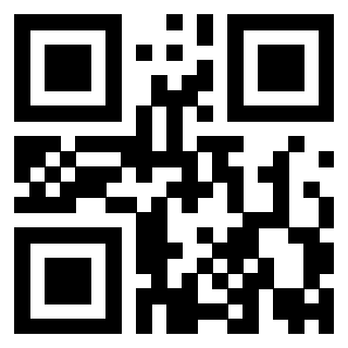 QrCode di 3919758379