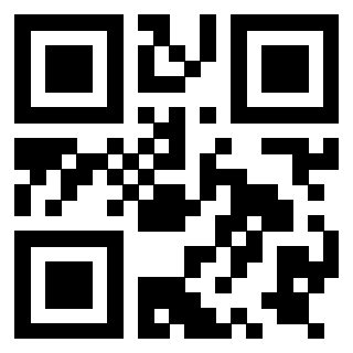 Il Qr Code di 3919758389