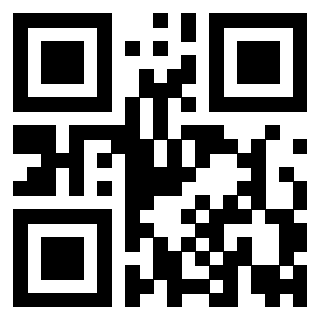 Il Qr Code di 3919776211
