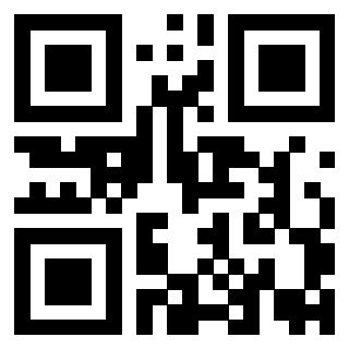 Il Qr Code di 3919776236