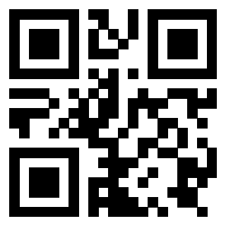 Il Qr Code di 3919776288