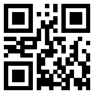 Il Qr Code di 3919776307