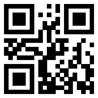 Il Qr Code di 3919776325