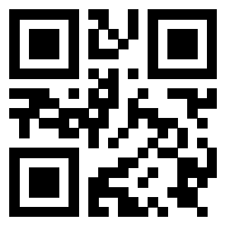 QrCode di 3919776370
