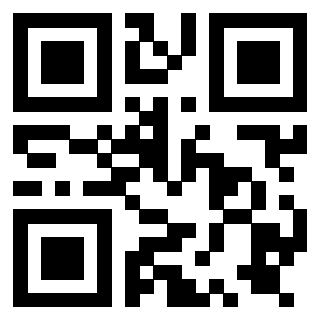 Il Qr Code di 3919776383