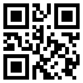 Il Qr Code di 3919776388