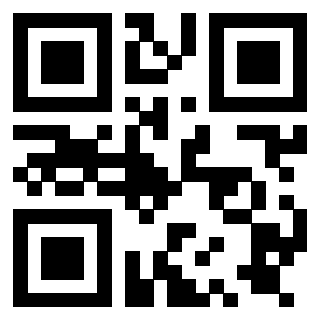 Il Qr Code di 3919776412