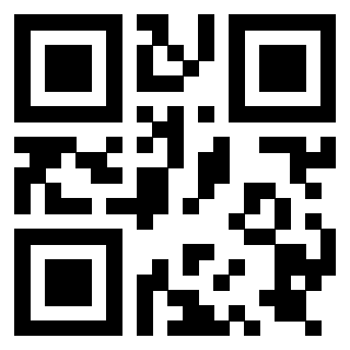 Il Qr Code di 3919776462