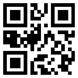 Il Qr Code di 3919776516