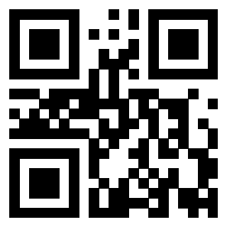 Il Qr Code di 3919776606