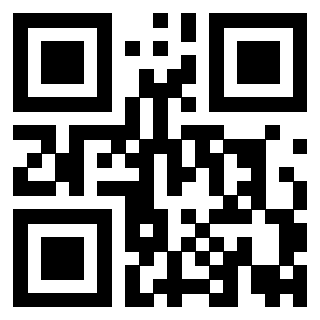 Il Qr Code di 3919776608