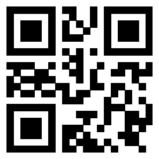 Il Qr Code di 3919776627