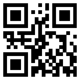 Il Qr Code di 3919776657