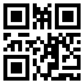 Il Qr Code di 3919776687