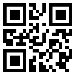 QrCode di 3919776691