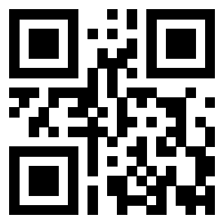Il QrCode di 3919776696