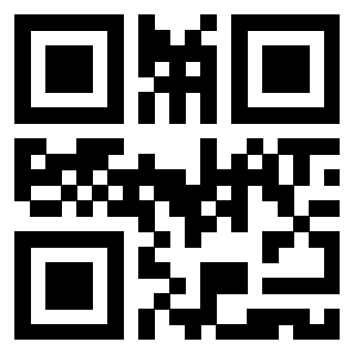Il Qr Code di 3919776718