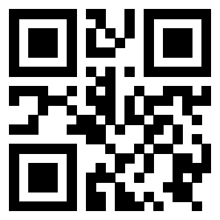 QrCode di 3919776761