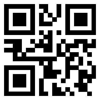 Il Qr Code di 3919776767